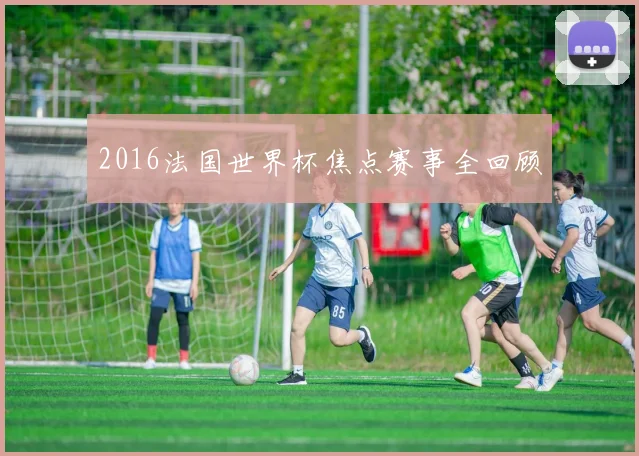 2016法国世界杯焦点赛事全回顾