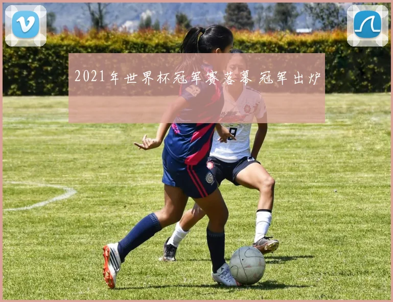 2021年世界杯冠军赛落幕 冠军出炉