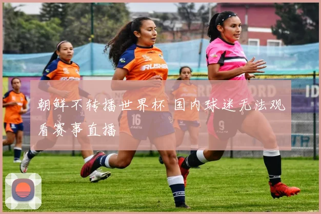 朝鲜不转播世界杯 国内球迷无法观看赛事直播