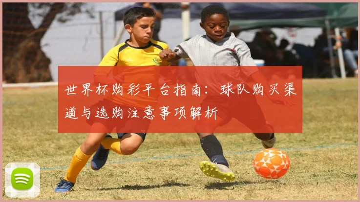 世界杯购彩平台指南:球队购买渠道与选购注意事项解析