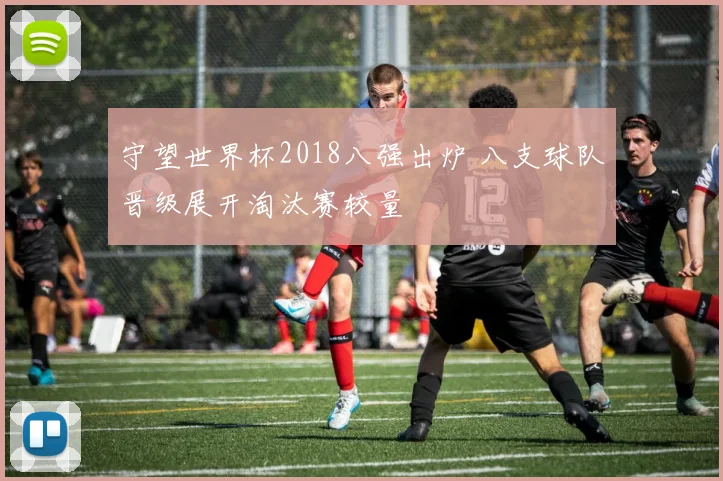 守望世界杯2018八强出炉 八支球队晋级展开淘汰赛较量