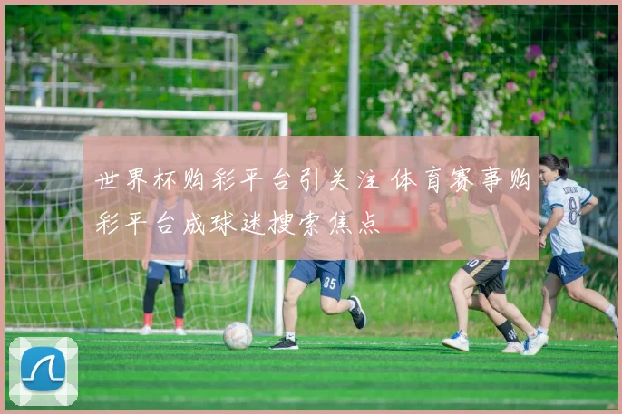 世界杯购彩平台引关注 体育赛事购彩平台成球迷搜索焦点