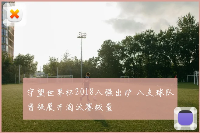 守望世界杯2018八强出炉 八支球队晋级展开淘汰赛较量