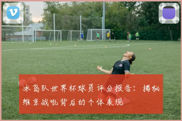 冰岛队世界杯球员评分报告:揭秘维京战吼背后的个体表现