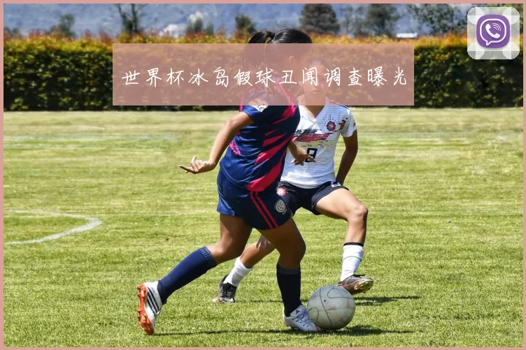 世界杯冰岛假球丑闻调查曝光