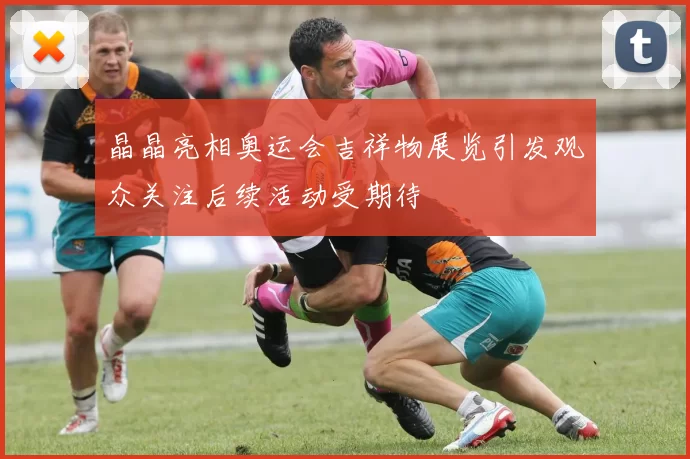 晶晶亮相奥运会吉祥物展览引发观众关注后续活动受期待