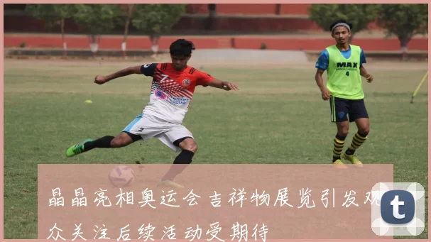 晶晶亮相奥运会吉祥物展览引发观众关注后续活动受期待