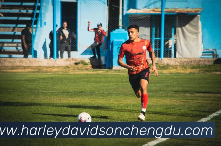 爱游戏ayx首页平台生态图