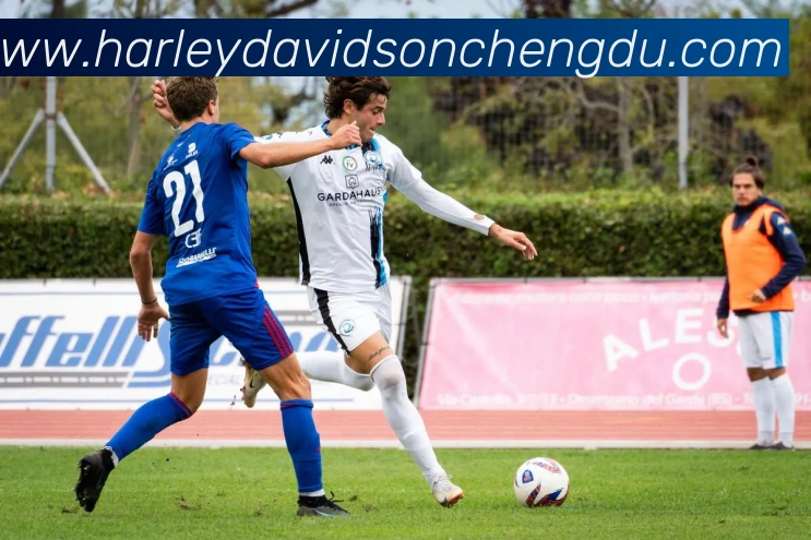 赛事专题整合